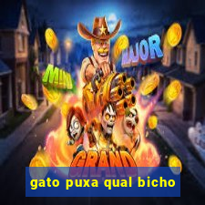 gato puxa qual bicho